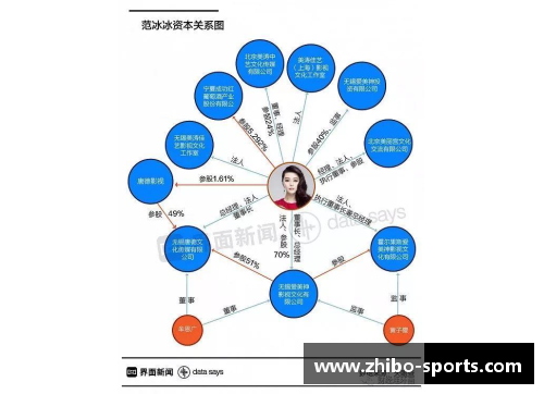 体育明星收入与税收关系的深度探讨与分析